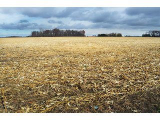 Property photo 31 - LAND AUCTION - 276.5+/- ACRES OFFERED IN 5 TRACTS IN EAST ALLEN COUNTY